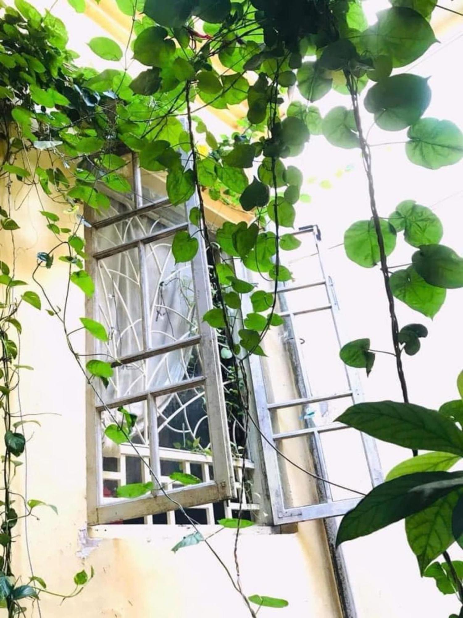 Azalea Apartment Ханой Екстериор снимка